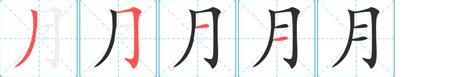 月字部首的字|月部首所有汉字